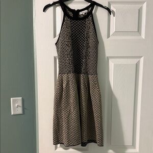 Parker Black and Gold lurex Mini Dress